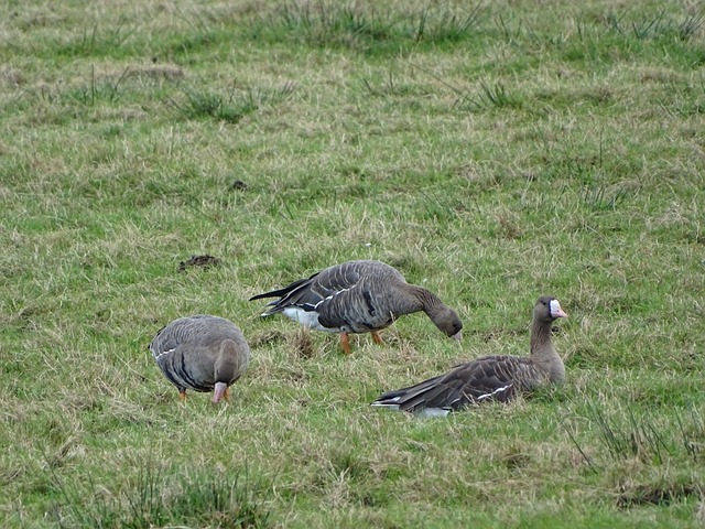 權重新帶回 權重新帶回