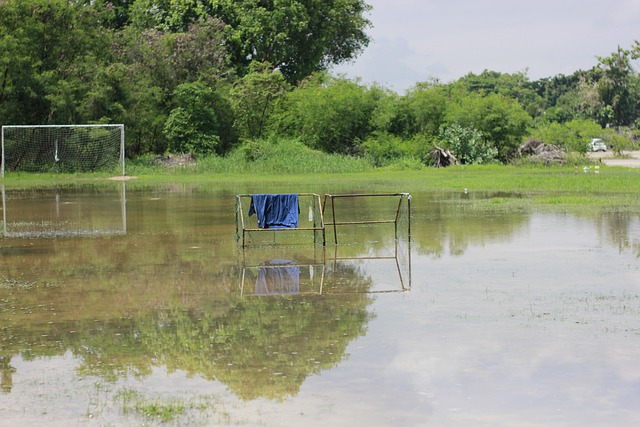 这场比赛中 这场比赛中